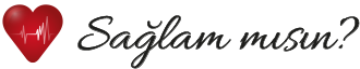 saglammisin-logo